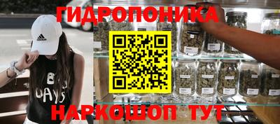гидра Беслан